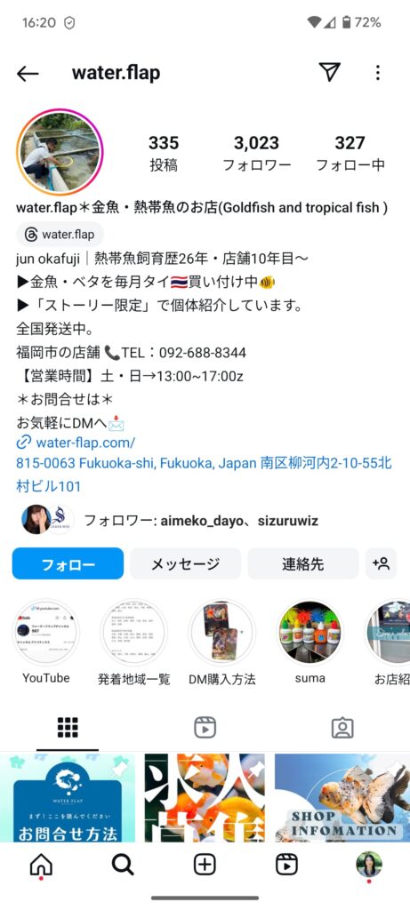 water.flap様のInstagramアカウント。ストーリーズで入荷した個体を紹介している。